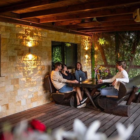 Komfort-Ferienwohnung "Zur Schmiedebruecke" Großschönau Εξωτερικό φωτογραφία